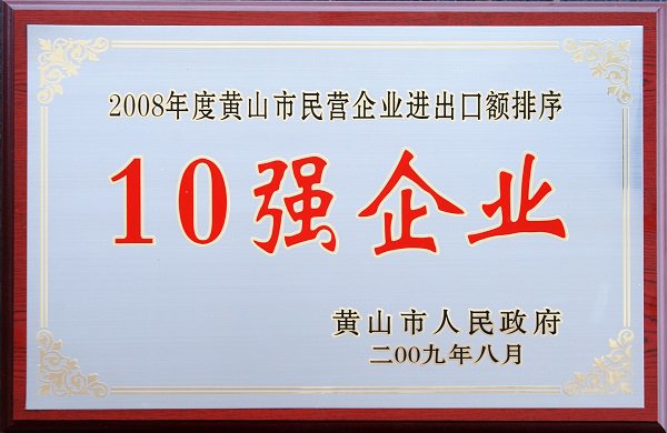 民營10強(qiáng)